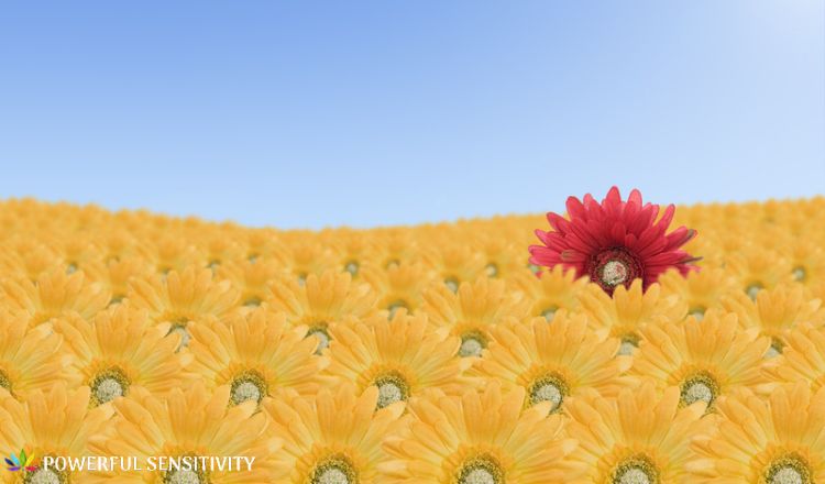 beautiful flower being different