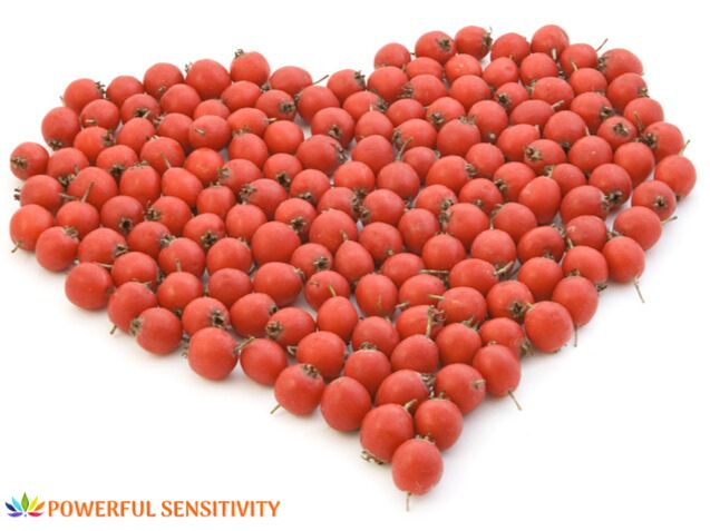 Hawthorn berry heart Hawthorn berry heart