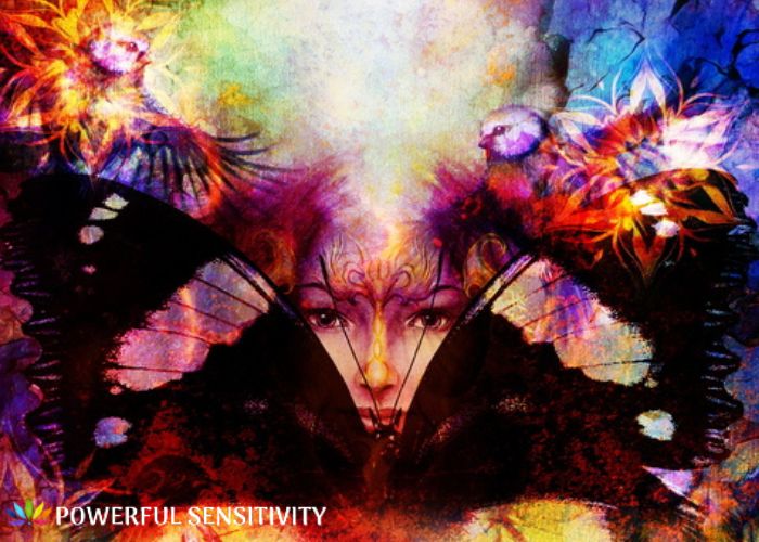 powerful sensitive empath powerful sensitive empath