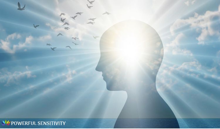 Sensory Processing Sensitivity Sensory Processing Sensitivity